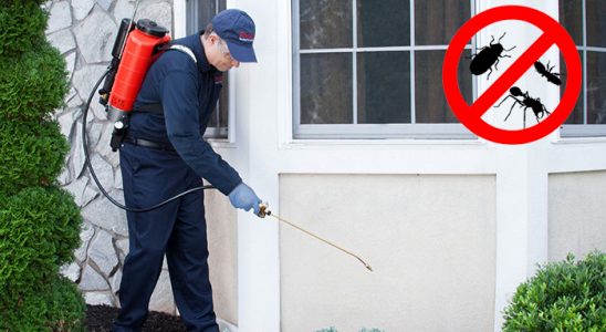Yayladağı Bit İlaçlama böcek ilaçlama ve haşere kontrolü — ilaclama-tr.com